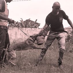 Elite K9 Pro